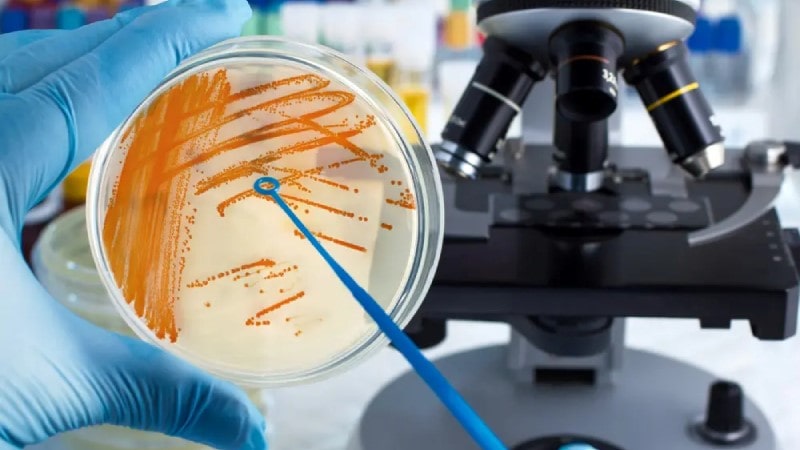 ظروف دارویی